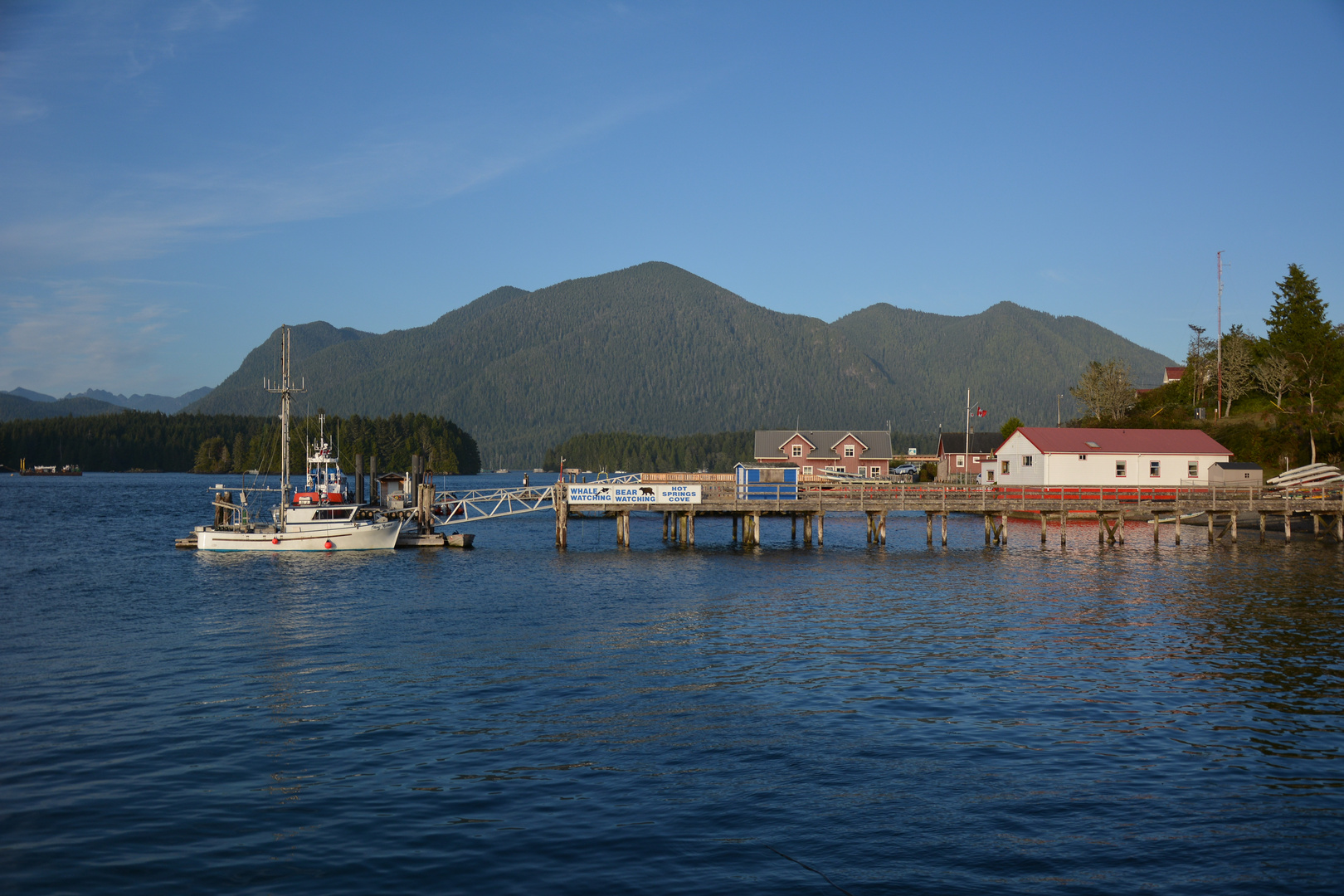 Tofino