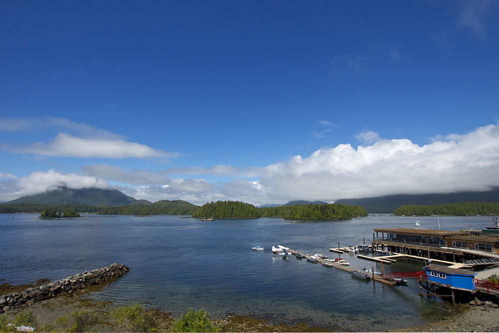 Tofino