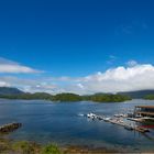 Tofino