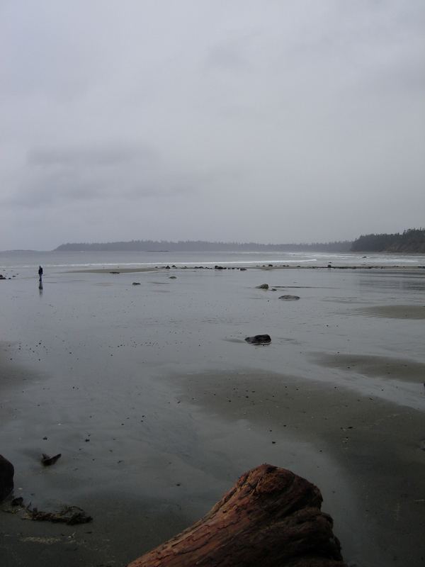 Tofino Beach