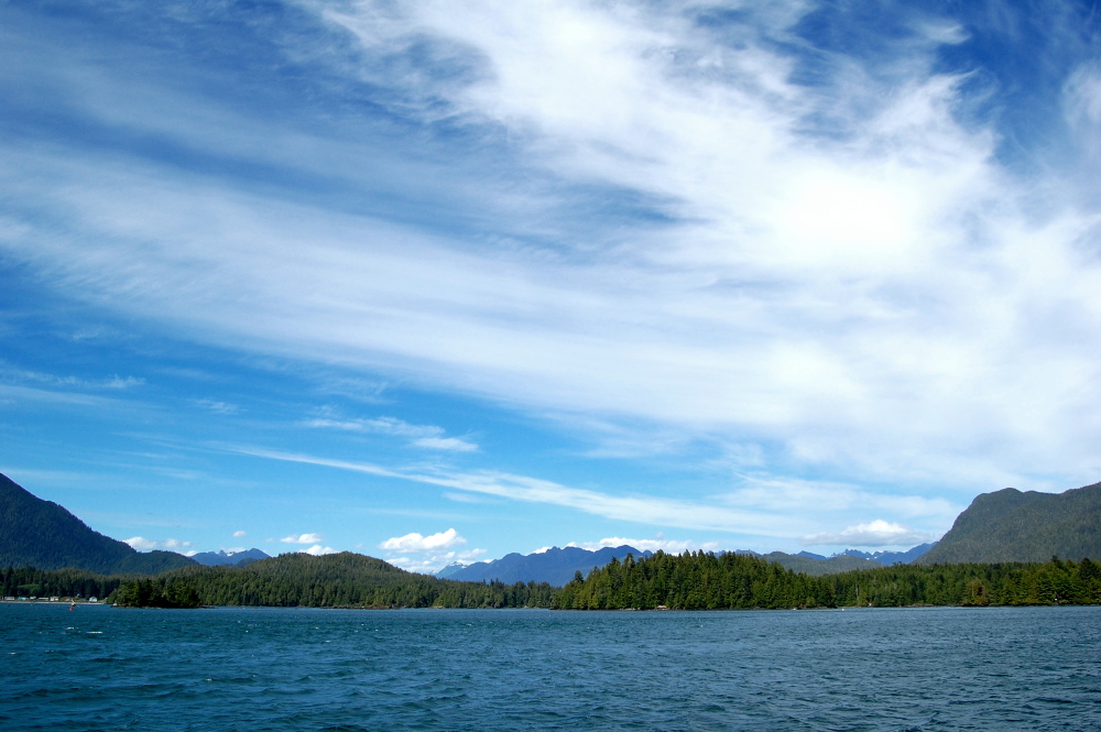 Tofino