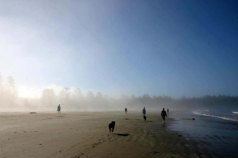 Tofino, die Sonne kommt..