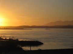 Tofino