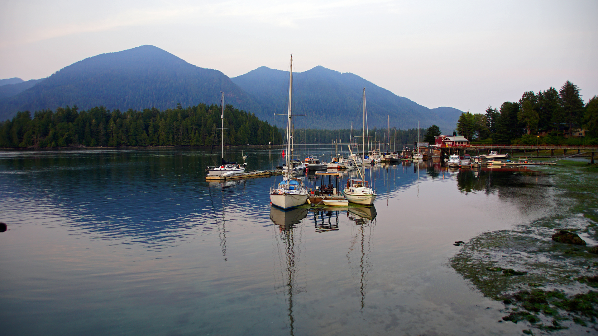 Tofino Harbour