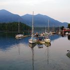 Tofino Harbour