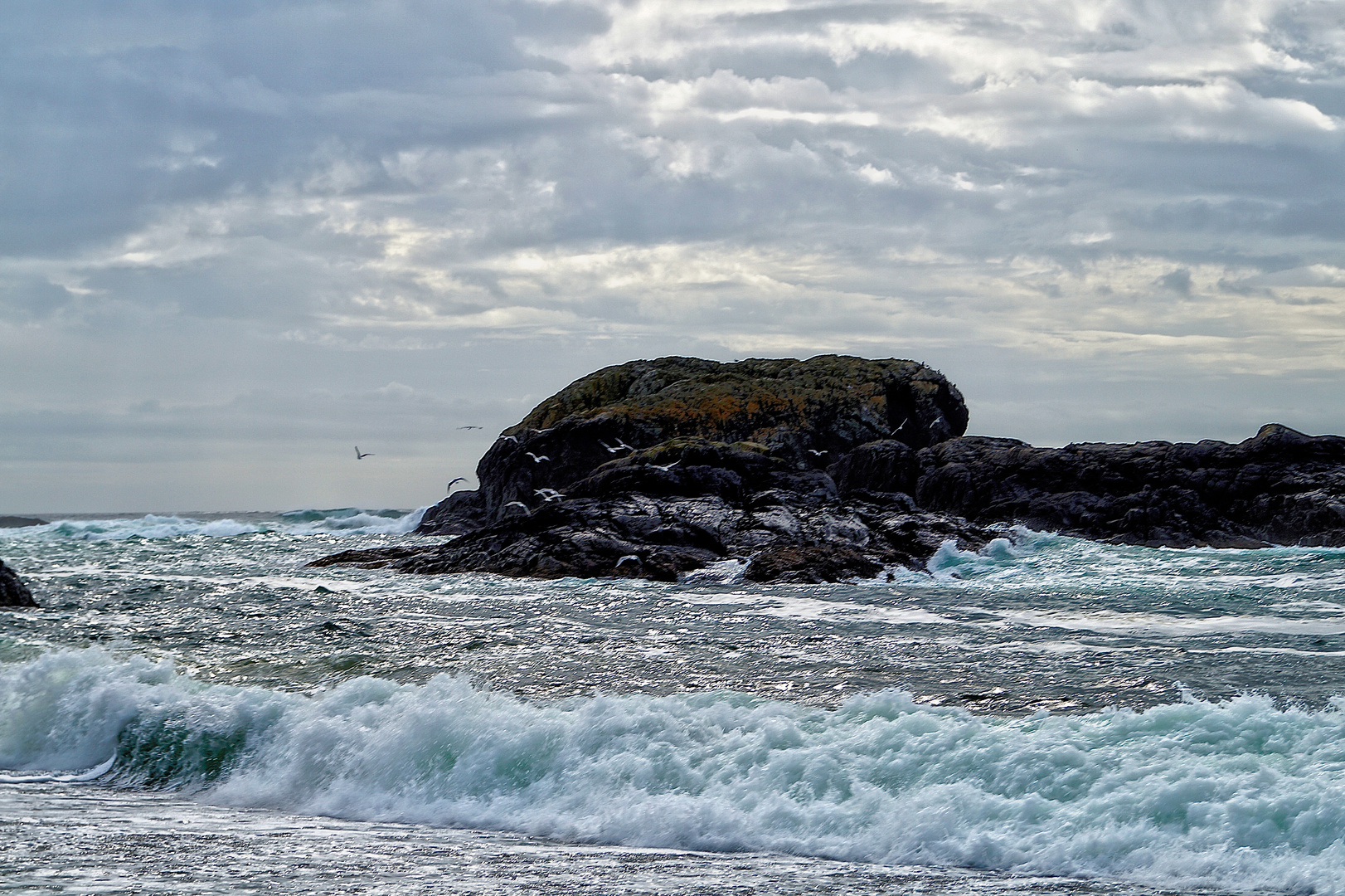 Tofino Long Beach