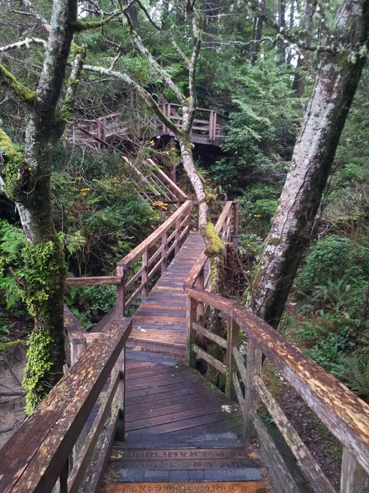 Tofino, Vancouver Island, BC