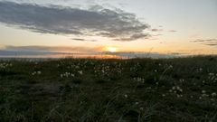 Tofta Strand Gotland 2