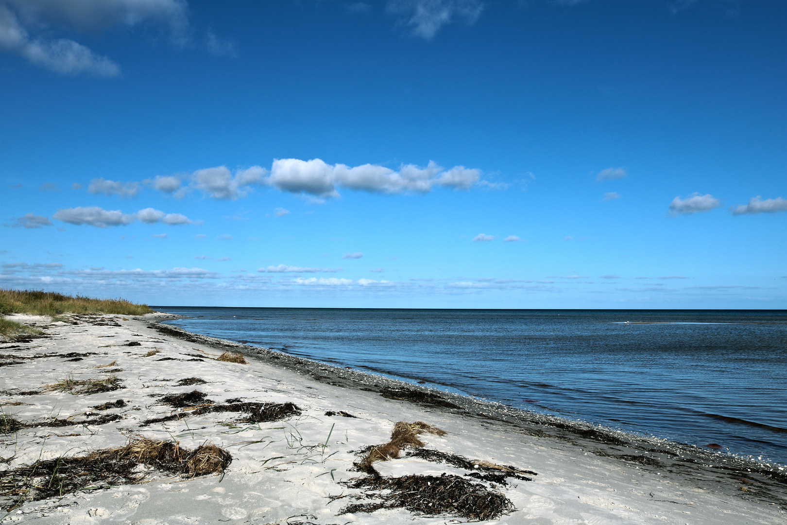 Tofteskov Strand - 1