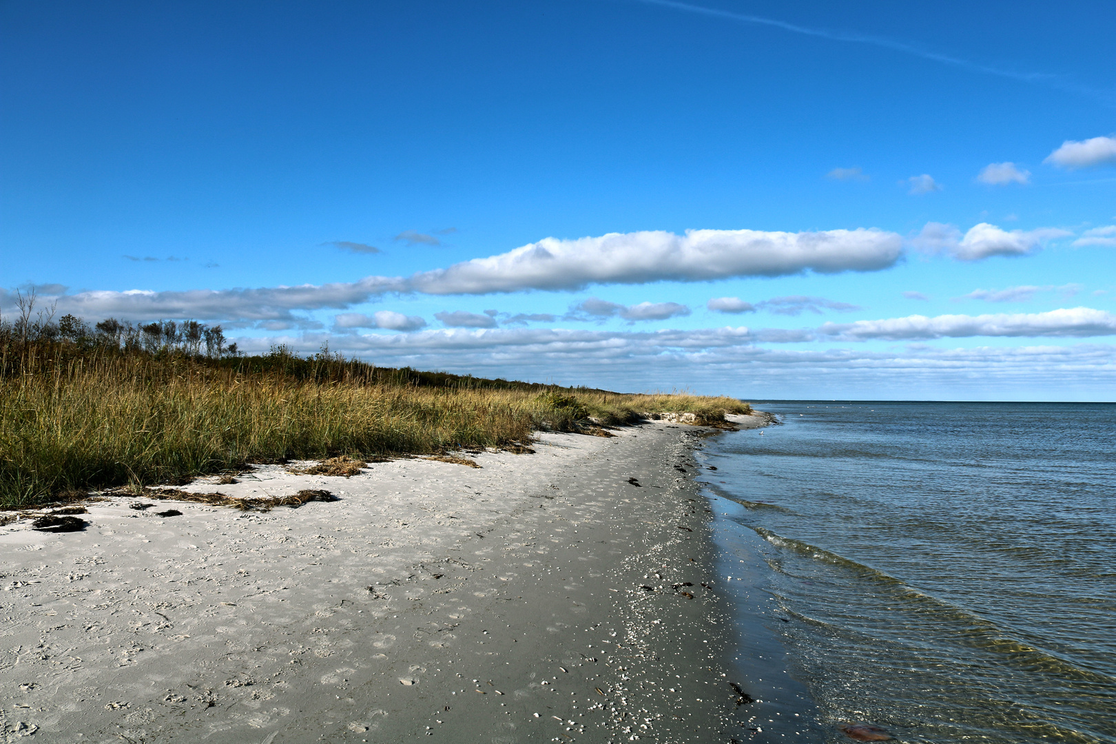 Tofteskov Strand - 1