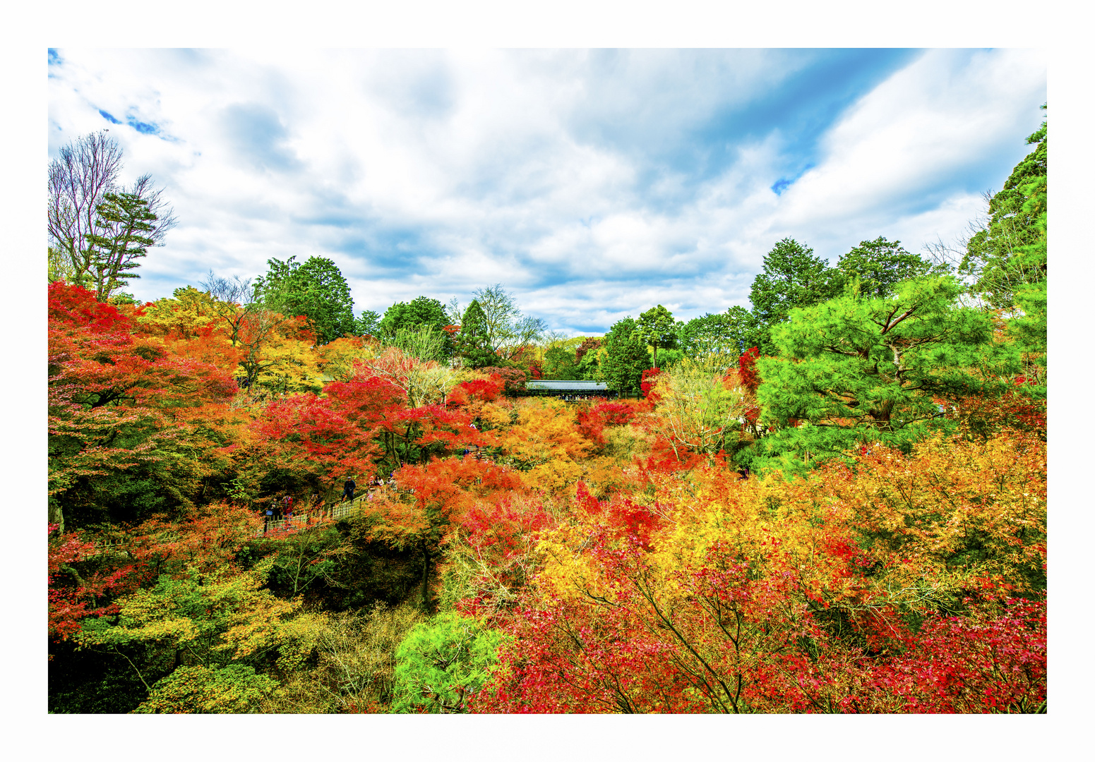 Tofuku-ji in Kyoto im Herbst