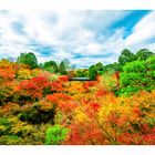 Tofuku-ji in Kyoto im Herbst