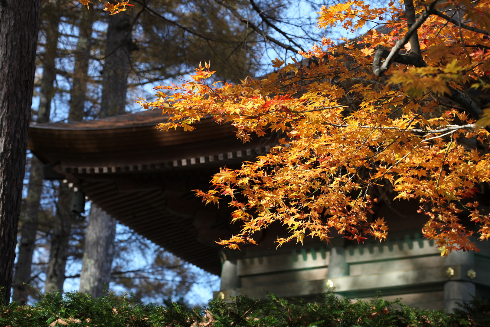 ToGakuShi Shrine