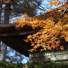 ToGakuShi Shrine