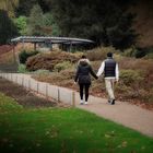 together - botanical garden