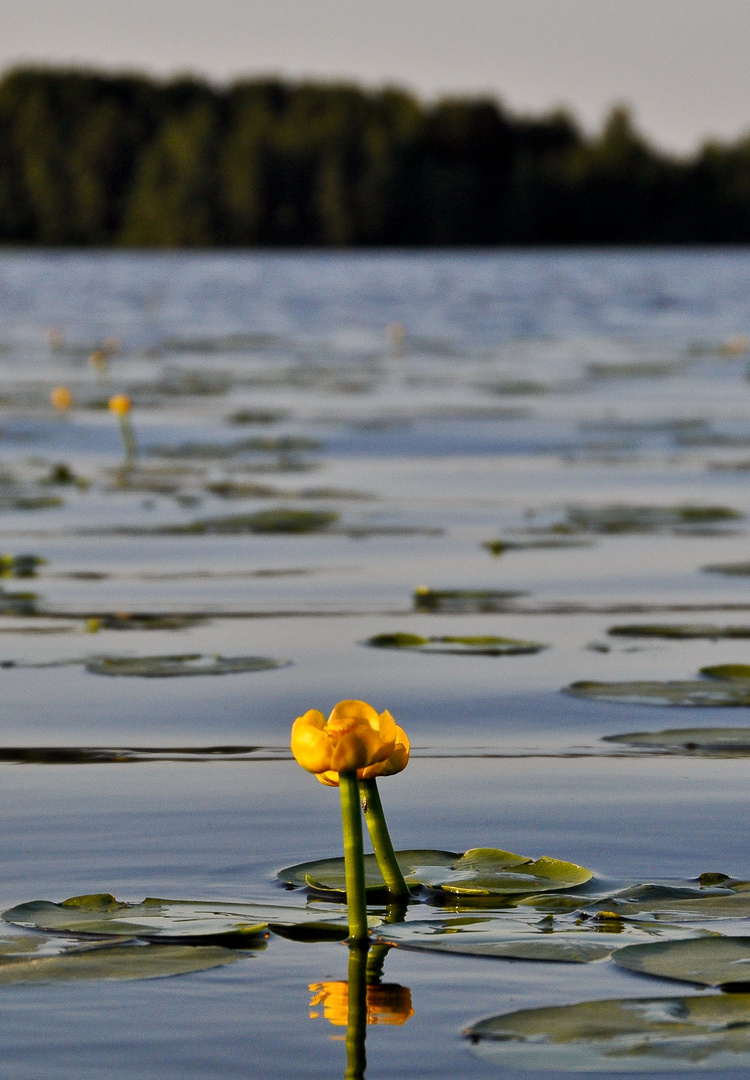 Together... in the sea of love!