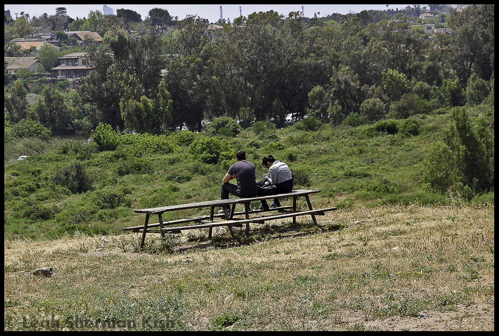 Togetherness - at Alexander stream National park