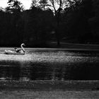 togetherness on the lake.