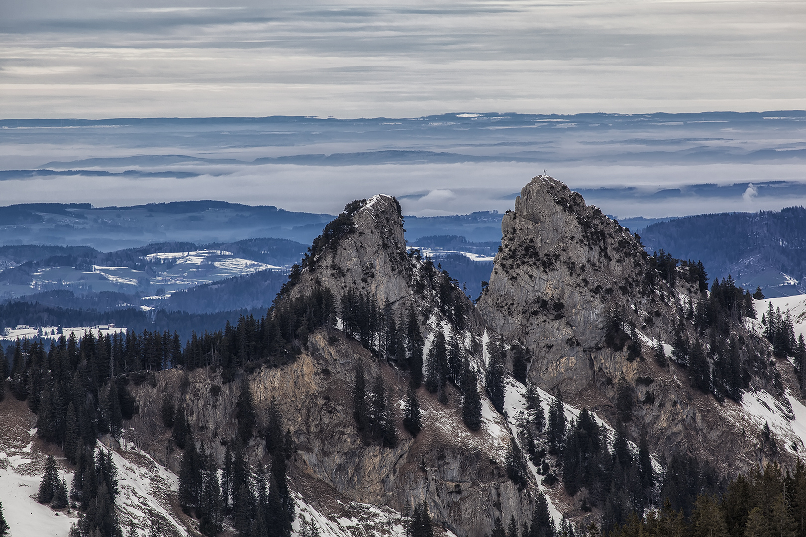 toggenburg