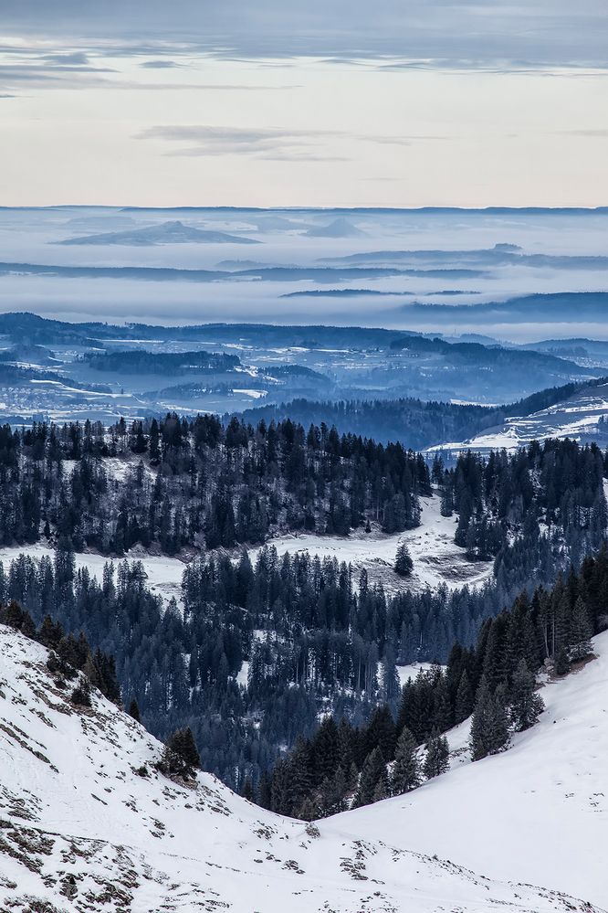 toggenburg von manuel.conrad 