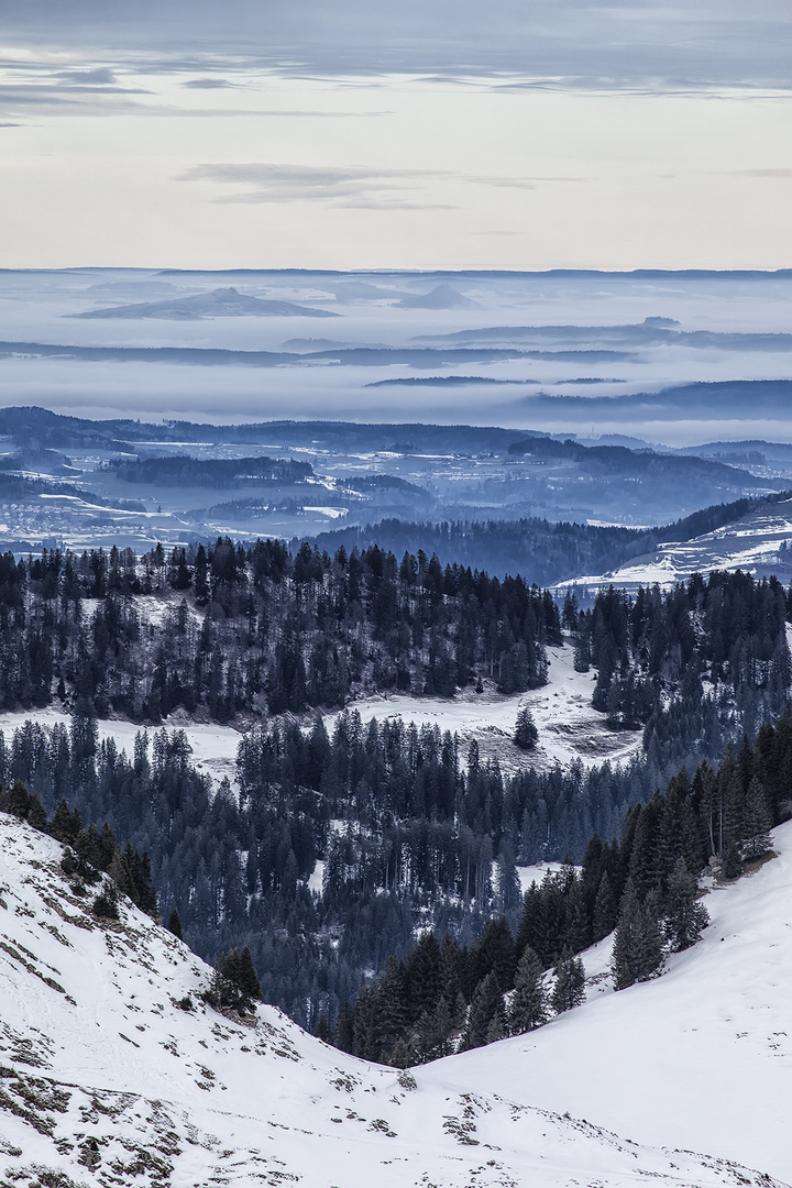 toggenburg