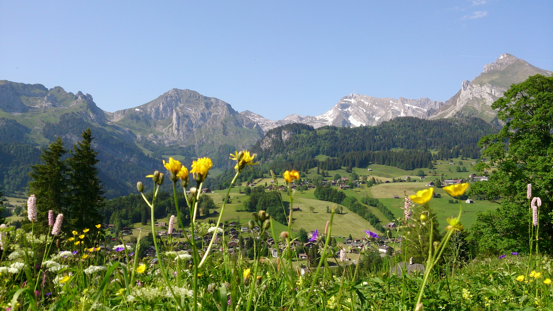 Toggenburg