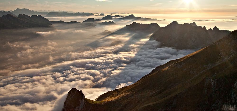 Toggenburg