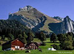 Toggenburg