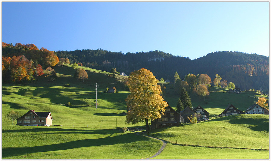 Toggenburg