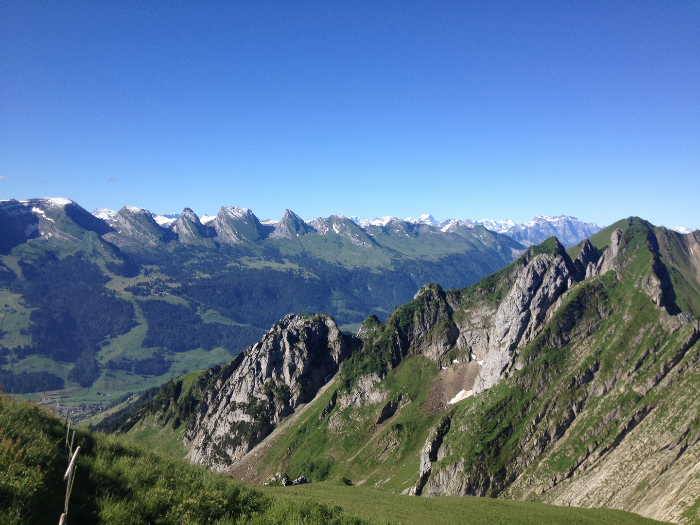 Toggenburg   