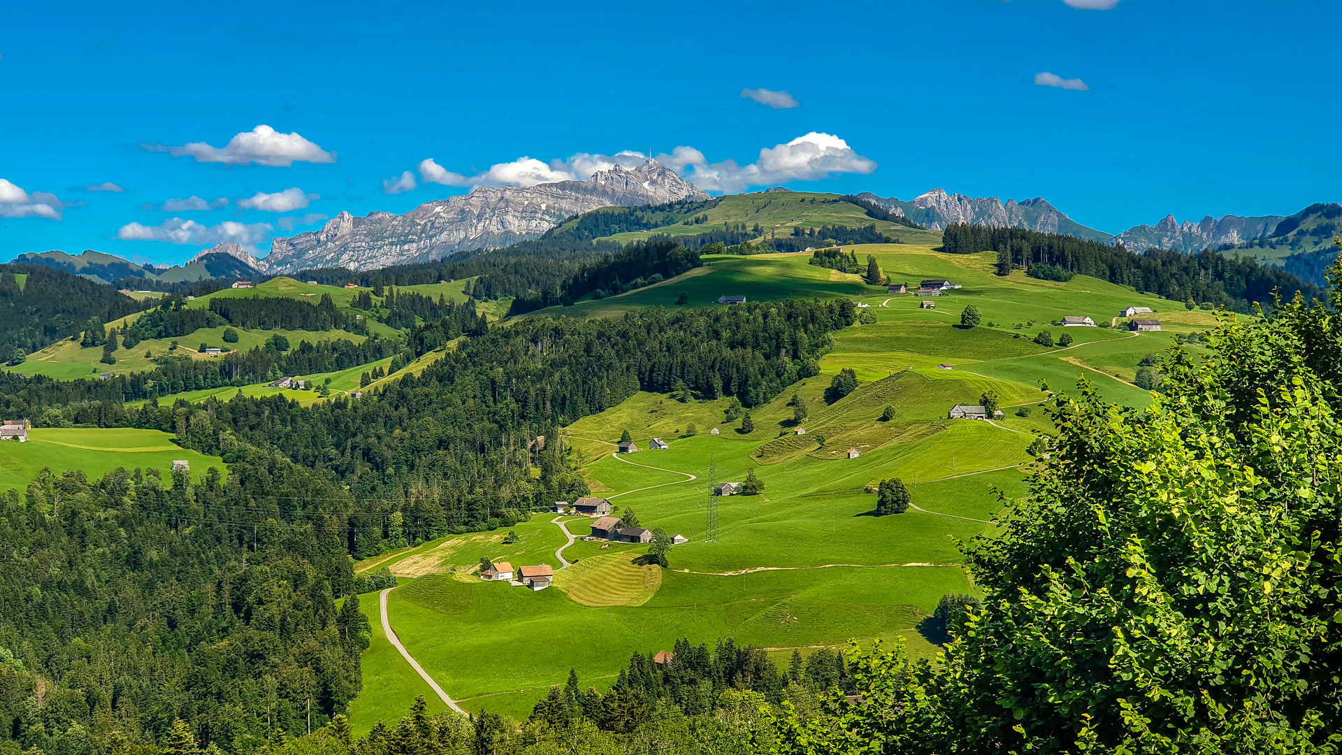 Toggenburg