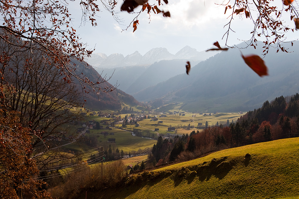 Toggenburg im Herbst