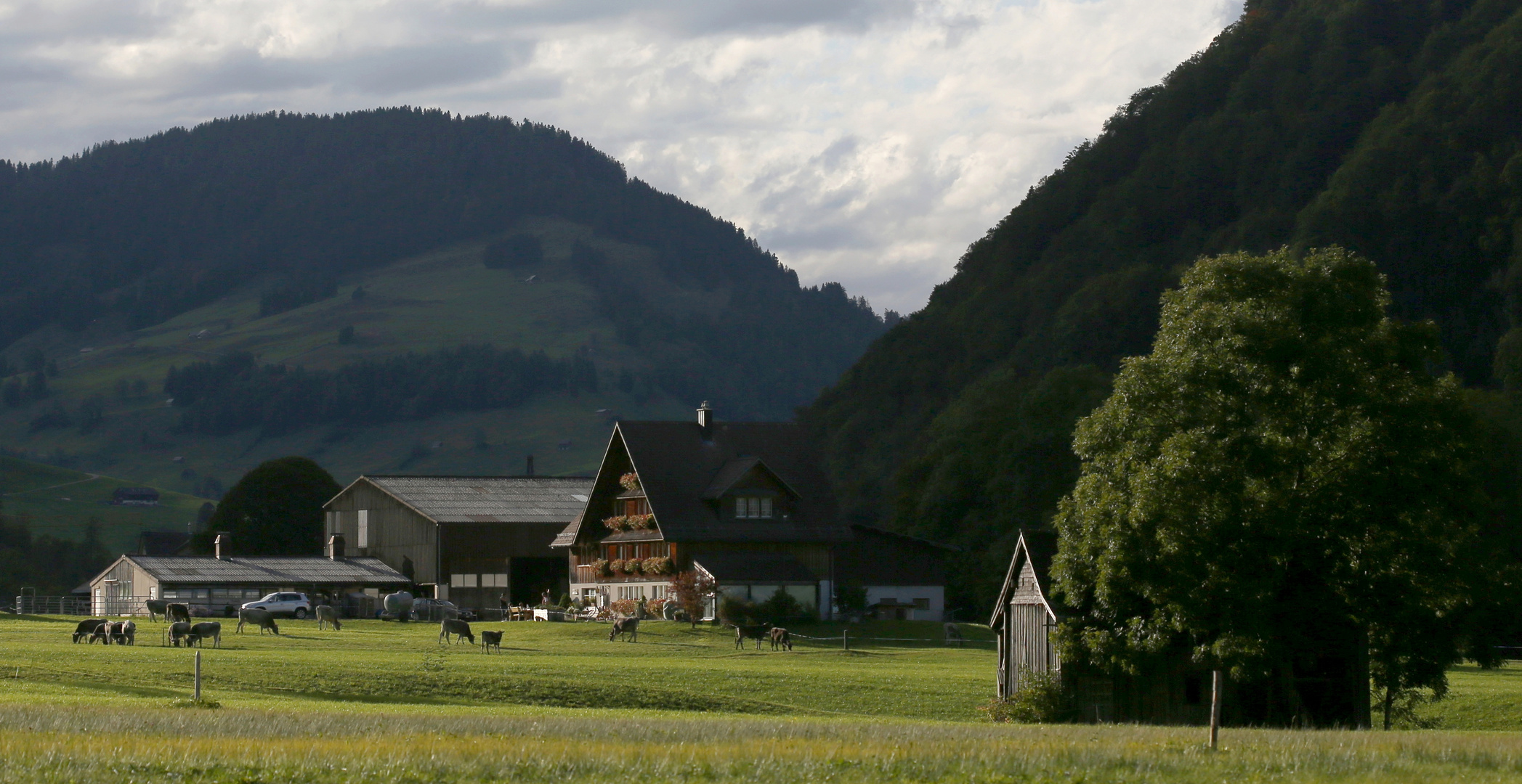 Toggenburger Idylle 