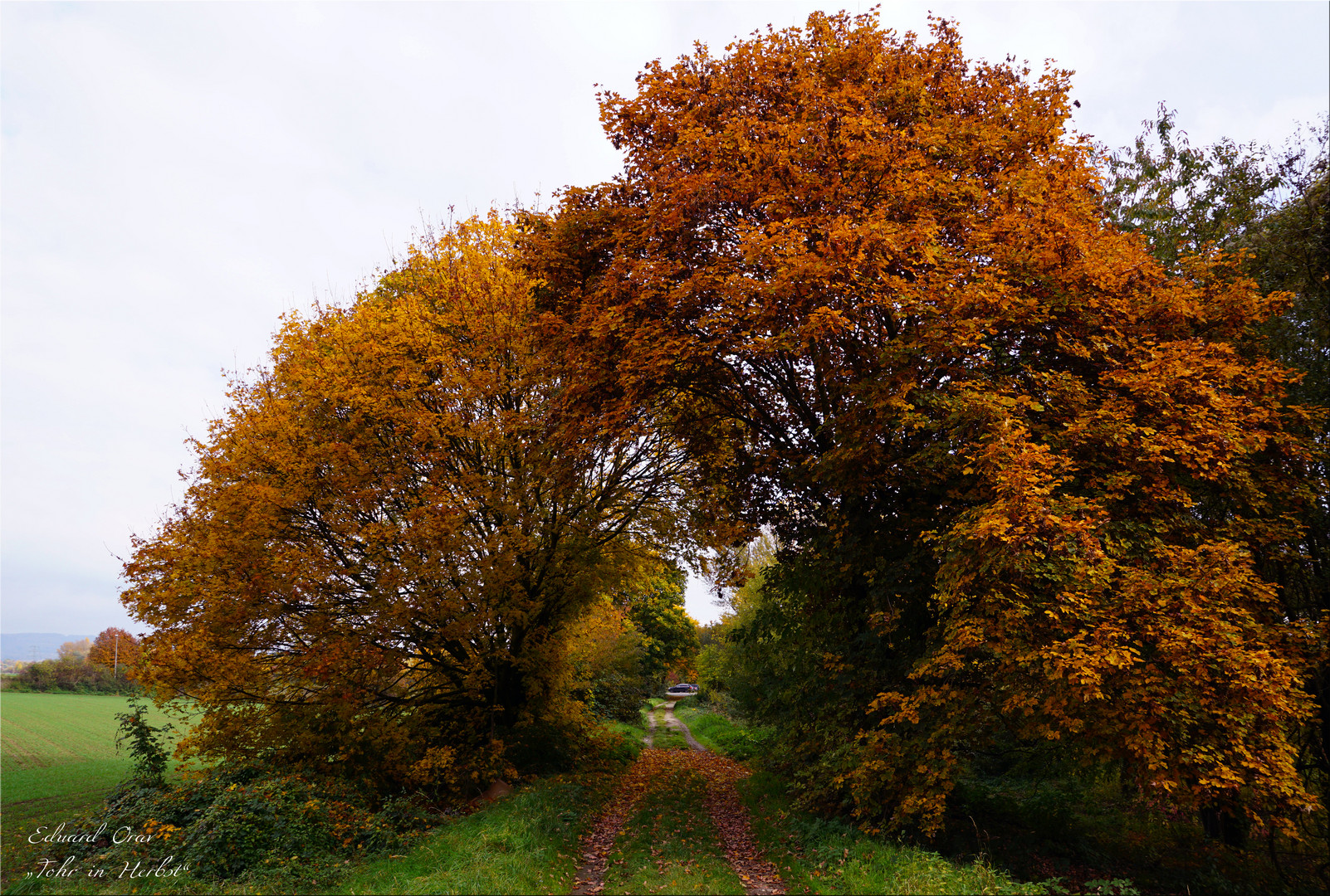 Tohr in Herbst