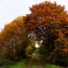 Tohr in Herbst