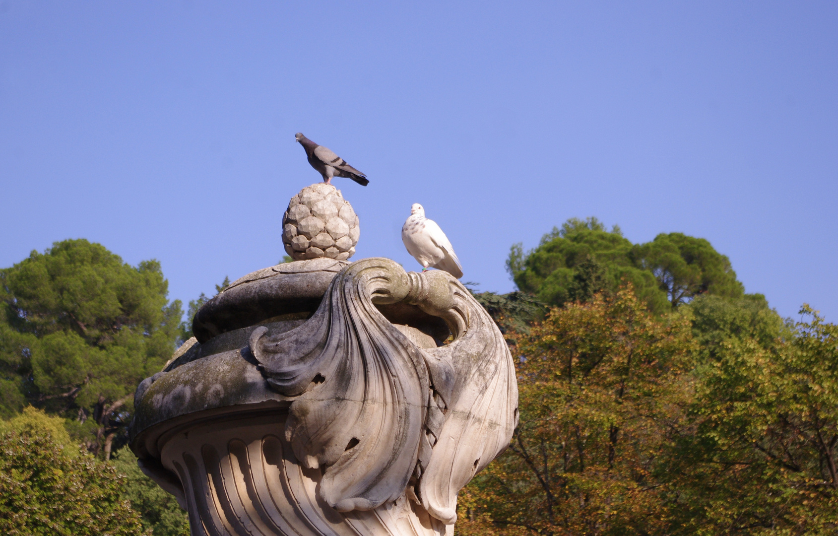 Toi et moi et le ciel bleu de Nimes ....