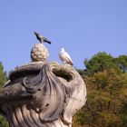 Toi et moi et le ciel bleu de Nimes ....