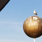 Toilette de Mouette