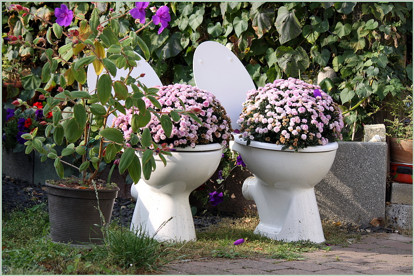 Toilettenblumen