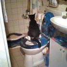 Toilettengang mal anders