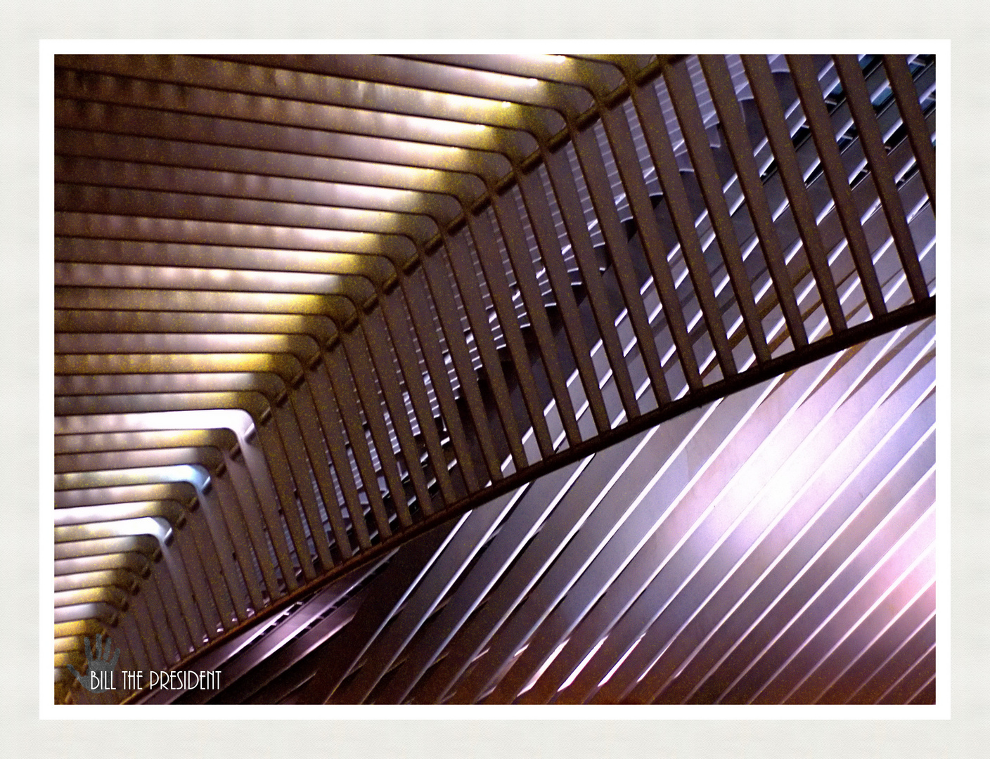 toit de la gare des guillemins