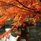 Toji Temple