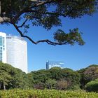 Tokio, Hamarikyu Garden