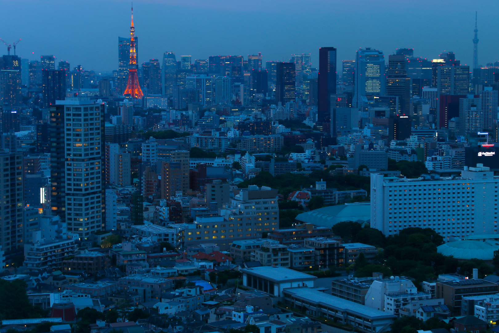 Tokio in blau 