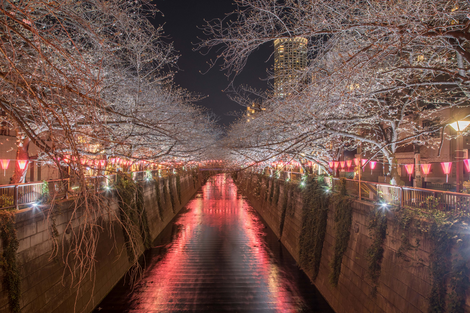 Tokio in der Nacht