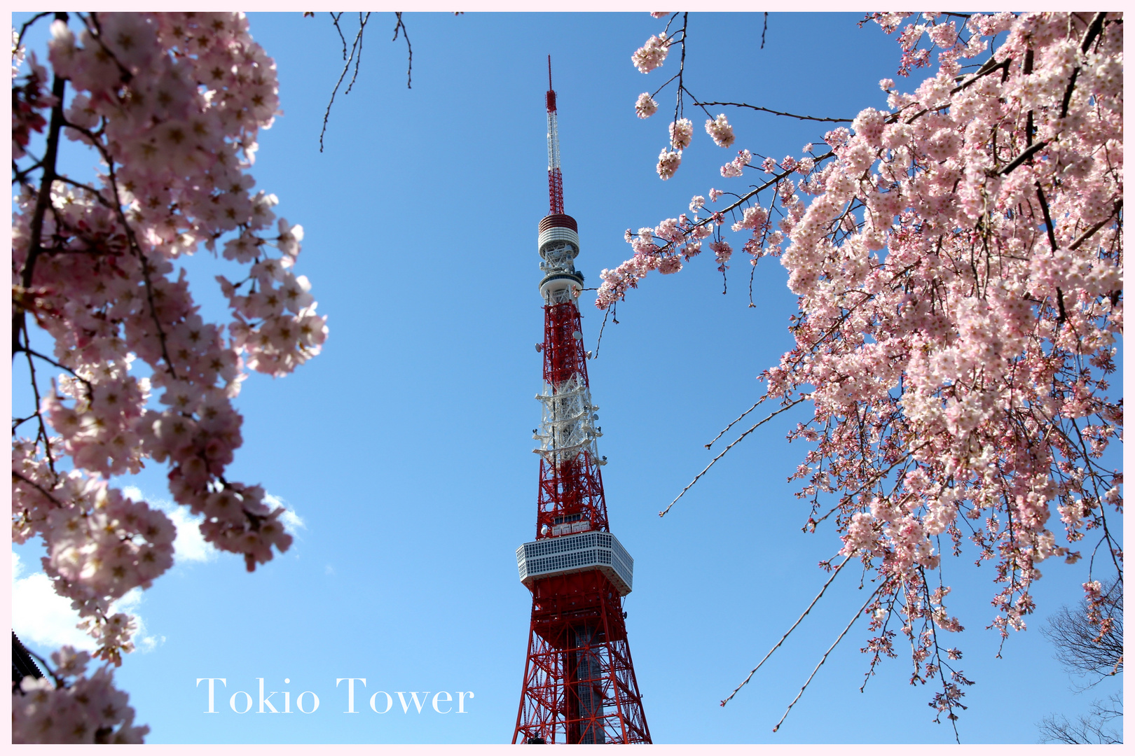 Tokio Tower