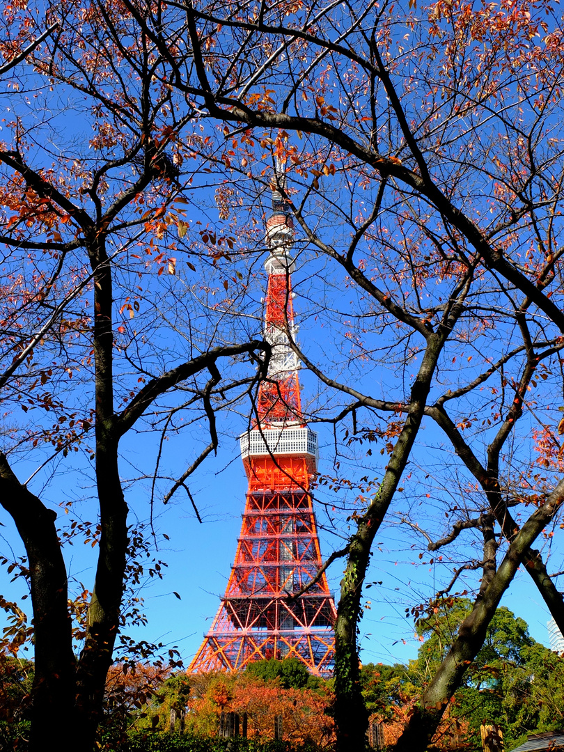 Tokio Tower