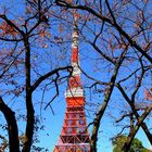 Tokio Tower