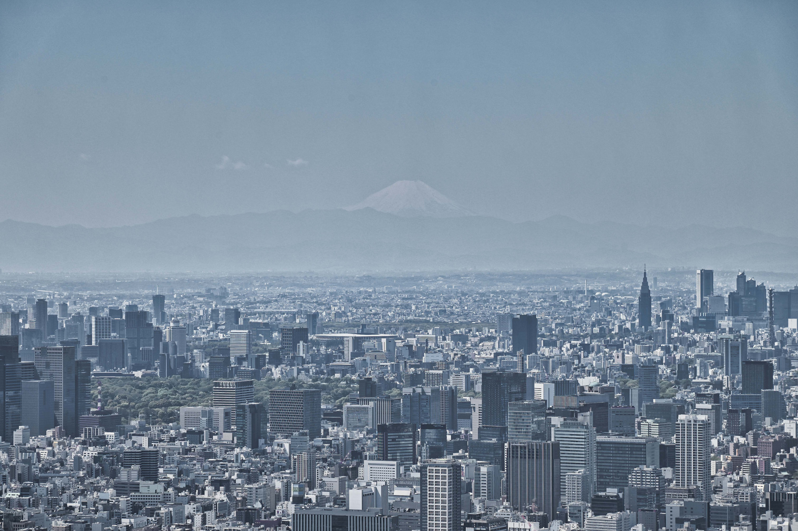 Tokios Skyline und am Horizont der Fuji