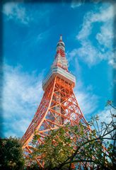 TokoTower 